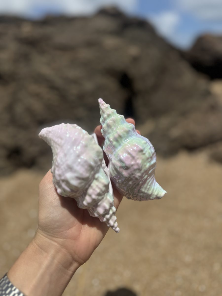 Pinza Caracol